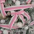 MEEDEE Christmas Felt Ribbon 2.5 Inch Wired Felt Ribbon 10 Yards White Felt with Pink Velvet Middle Rickrack Cutout Christmas Ribbon for Christmas...