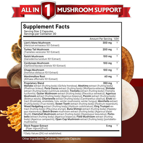 NEW AGE Lions Mane 3000mg 20in1 Mushroom Supplement with Turkey Tail 2000mg Reishi 1000mg Cordyceps Chaga 1000mg with Marshmallow Root...