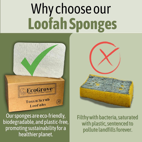 Loofah Sponges 100% All Natural BPA Free Loofahs for Dishes, Face, Soap Making, Shower, Exfoliating Eco-Friendly Biodegradable 30 pack Compressed ...