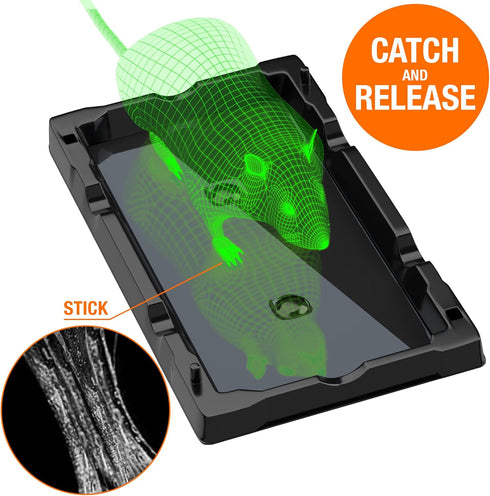 BLACK+DECKER Glue Traps for Mouse & Insect- Heavy- Duty Sticky Traps for Mice, Small Rats, Flies, Cockroaches & Other Bugs- Eco Friendly, Odorless...