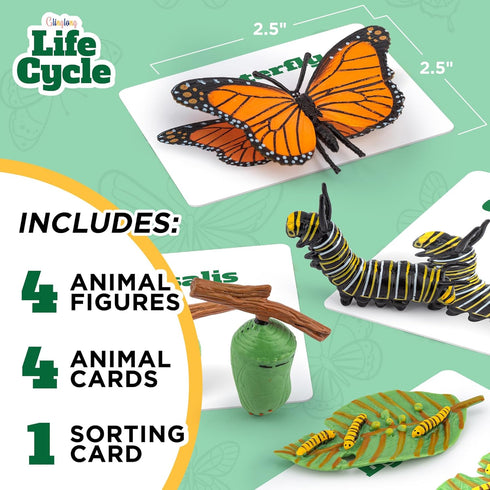 Life Cycle Kit Toy Science Montessori - Realistic Figurine, Kids Animal Match Set Easter Basket Stuffers for Boys and Girls Age 3,4,5,6,7,8,9 (Lif...
