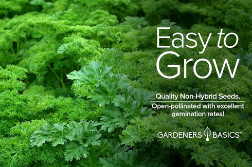 Gardeners Basics, Curled Parsley Seeds for Planting Indoors and Outdoors Heirloom, Open-Pollinated, Non-GMO Curly Herb Variety- Great for Home Gar...