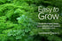 Gardeners Basics, Curled Parsley Seeds for Planting Indoors and Outdoors Heirloom, Open-Pollinated, Non-GMO Curly Herb Variety- Great for Home Gar...
