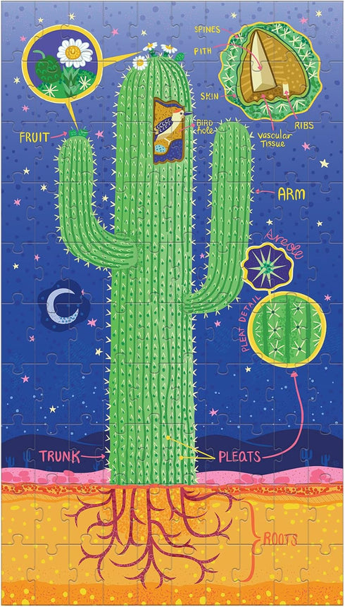 Plant Anatomy Science Puzzle Set from Mudpuppy - Includes Three 100 - Piece Puzzles with Colorful Illustrations, Ages 6+, Trifold Insert with Fun ...