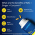 Blueprint Bryan Johnson NAC Supplement - Promotes Stress Relief, Immune System Function, Respiratory Health - includes N-Acetyl-L-Cysteine, Ginger...