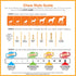 Nylabone Chew Toy Dog Surprise Box Variety Small/Regular (1 Count)...