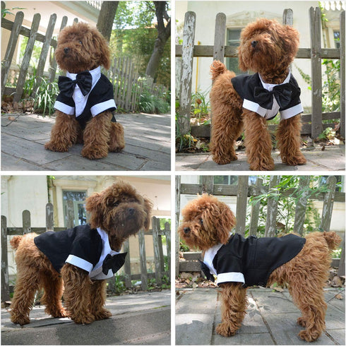 Lovelonglong Pet Costume Dog Suit Formal Tuxedo with Black Bow Tie for Small Size Dogs Miniature Schnauzer Clothing Black L...