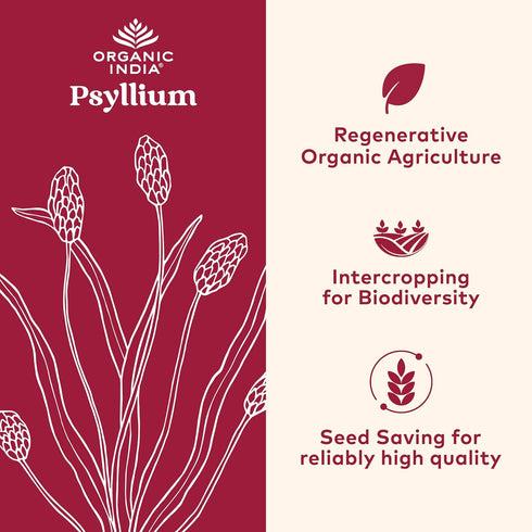 ORGANIC INDIA Psyllium Herbal Powder - Whole Husk Fiber, Healthy Elimination, Keto Friendly, Vegan, Gluten-Free, USDA Certified Organic, Non-GMO, ...