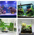 AQQA Small Aquarium Heater,Submersible Fish Tank Heater Adjustable Temperature,Mini Short Dual-use Fish Heater with LED Digital Display Thermostat...