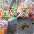 Zcintert Clear Cello ???????????????????? ?????????? ????????, 100 Pcs - 8" x 11"(2mils), Plastic Gift Bags for Candy, Party Favor, Cookies, Candi...