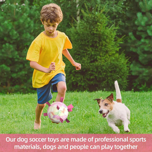 Dog Toys Soccer Ball with Straps, Puppy Balls Dog Balls for Small Medium Dogs, Dog Water Toys Pool Toys, Puppy Dog Birthday Gifts, Rainbow?6 Inch?...