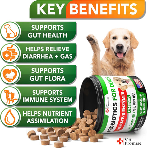 Probiotics for Dogs - Dog Probiotics and Digestive Enzymes for Gut Health, Itchy Skin, Allergies, Immunity, Yeast Balance - Prebiotics - Reduce Di...