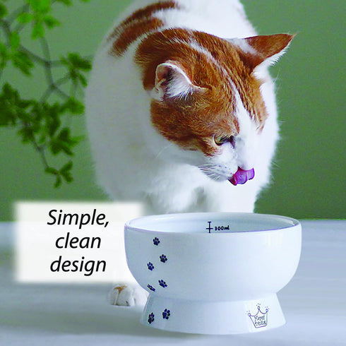 Necoichi Raised Cat Water Bowl, Elevated, with Measurement Lines, Dishwasher and Microwave Safe, No.1 seller in Japan! (Cat, Regular)...
