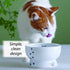 Necoichi Raised Cat Water Bowl, Elevated, with Measurement Lines, Dishwasher and Microwave Safe, No.1 seller in Japan! (Cat, Regular)...