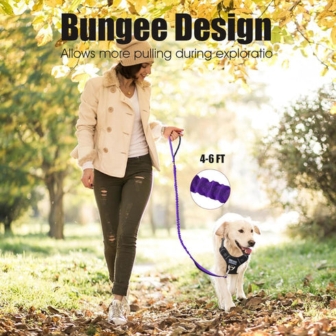 BUMBIN 6Ft Dog Leash Large Dogs, Bungee Dog Leash with 2 Handles, Heavy Duty Dog Leashes for Medium Small Dogs, No Pull Shock Absorbing Dog Leash ...