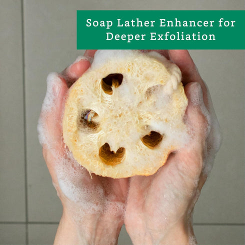 Natural Loofah Exfoliating Sponge (4 Pack) - Biodegradable Loofa Body Scrubber - Loofah Sponge - Loofah Exfoliating Body Scrubber - Organic Loofah...