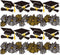 Whaline 69Ft Graduation Bulletin Board Border Graduation Cap Firework Shape Decoration Borders Black Gold White Graduation Bulletin Board Stickers...