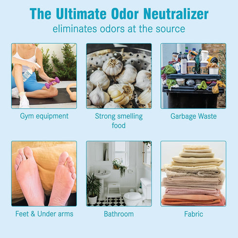 HOCL Odor Eliminator Spray with Hypochlorous Acid, Unscented Multi-Purpose Air Freshener for Carpet, Clothing, Home, & More, Safe All-Natural 16fl...