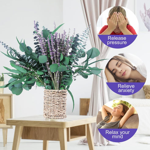 2 Bundles Dried Eucalyptus & Lavender Flowers for Shower, 100 pcs 17'' Natural Real Hanging Silver Dollar Eucalyptus Leaves Stems,Fresh Shower Pla...
