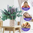 2 Bundles Dried Eucalyptus & Lavender Flowers for Shower, 100 pcs 17'' Natural Real Hanging Silver Dollar Eucalyptus Leaves Stems,Fresh Shower Pla...