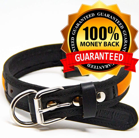 Premium Leather Dog Collar - Best Full Grain Heavy Duty Genuine Leather Collar (Orange, Medium)...