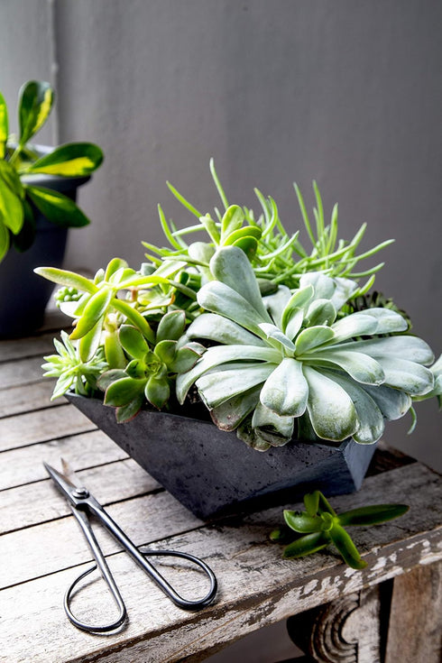 The HC Companies 8 Inch Deco Faceted Plastic Succulent Bowl - Decorative Indoor Planter with Drainage Hole, Faux Concrete...