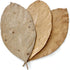 Pack of 10 Jackfruit Leaves 7 inch Botanical Leaves for Aquarium Fish, Shrimp & Terrarium Pets - Mineral Source, Decor & Healthy Environment, Brow...