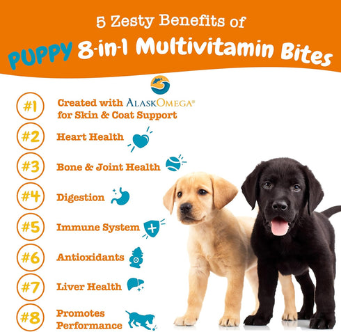 Zesty Paws Multivitamin Treats for Dogs - Glucosamine Chondroitin for Joint Support + Digestive Enzymes & Probiotics - Grain Free Dog Vitamin for ...