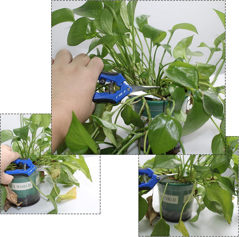HFS(R) Softouch Micro-Tip Pruning Snip, Leaf Trimmer, Scissor, Quick Pruning Snip (5 PCS)...