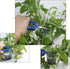 HFS(R) Softouch Micro-Tip Pruning Snip, Leaf Trimmer, Scissor, Quick Pruning Snip (5 PCS)...