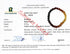 AMBERAGE Natural Baltic Amber Bracelet for Adults (Women/Men) - Hand Made from Raw-Unpolished/Certified Baltic Amber Beads(6 Colors) (7, Raw-Unpol...