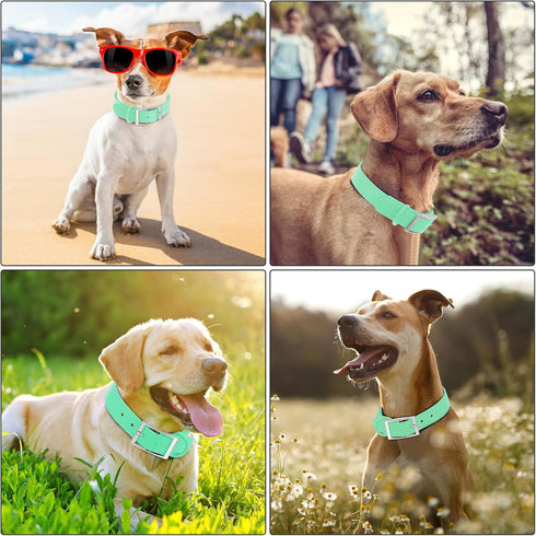 Wisedog Waterproof Dog Collar: Multiple Adjust 7" to 23.6", Soft Rubber Coated Webbing, Easy to Clean, for Small Medium Large Dogs (S|8.5"-12.5" ×...
