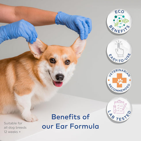 Dog Ear Cleaner Wipes - Cleanser for Dogs - Ear Itching, Dissolves Wax, Dirt & Odor with Coconut Oil & Aloe Vera (100 Finger Wipes)...