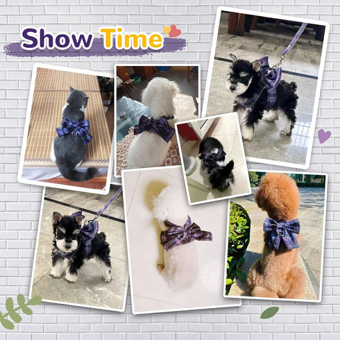 Dog Harness for Small Dogs with Bow Small Harness for Girl Dogs with D-Ring Soft Mesh Adjustable Harness Set Puppy Pet Harness and Leash...