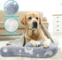 Grow in Dark Dog Pillow...