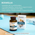 Himalaya Boswellia, Joint Support for Mobility and Flexibility, Promotes Tissue Preservation, 250 mg, 120 Capsules...
