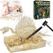 Dinosaur Fossil Digging Toy, Dig Up to Get ONE Dinosaur Skeleton, Archaeology Fossil Explore Science Education Toy, Cultivating Hand-On Skills and...