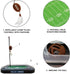 Cat Feather Toy NFL DALLAS COWBOYS FOOTBALL FIELD CAT SCRATCHER TOY with CATNIP Filled Plush FOOTBALL Toy & Feather Cat Toy hanging, with Jingle B...