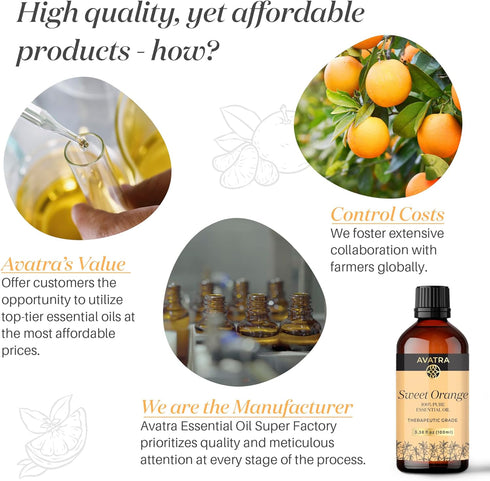Avatra Orange Essential Oil for Diffuser, Skin, & Aromatherapy | Natural & Undiluted | Cleaning, DIY, Soap & Candle Making | Premium Grade with Gl...