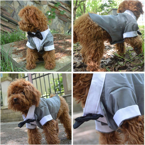 Lovelonglong Pet Costume Dog Suit Formal Tuxedo with Black Bow Tie for Small Dogs Pug Clothing Gray XL...