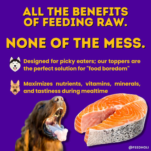 HOLI Freeze Dried Salmon Dog Food Topper - with Omega 3 & 6 - Single Ingredient, Human-Grade Wild Caught Salmon - Dog Food Flavor Enhancer for Pic...