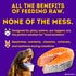 HOLI Freeze Dried Salmon Dog Food Topper - with Omega 3 & 6 - Single Ingredient, Human-Grade Wild Caught Salmon - Dog Food Flavor Enhancer for Pic...