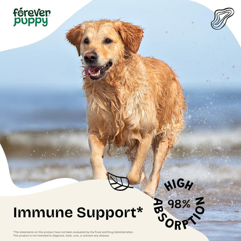 Red Reishi Mushroom Tincture for Dogs - Immune Support Mushroom Supplement - Liquid Mushroom Drops for Pets w/Reishi Extract - Liquid Vitamins and...