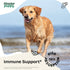 Red Reishi Mushroom Tincture for Dogs - Immune Support Mushroom Supplement - Liquid Mushroom Drops for Pets w/Reishi Extract - Liquid Vitamins and...