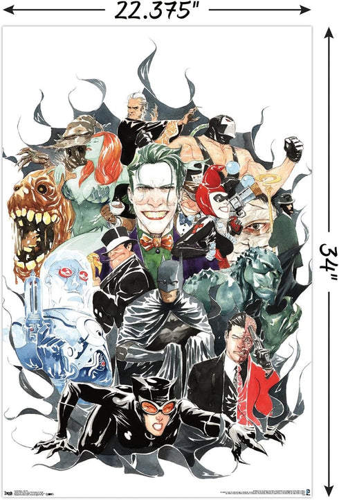 Trends International DC Comics - Batman - VIllains Wall Poster, 22.375" x 34", Premium Poster & Mount Bundle...
