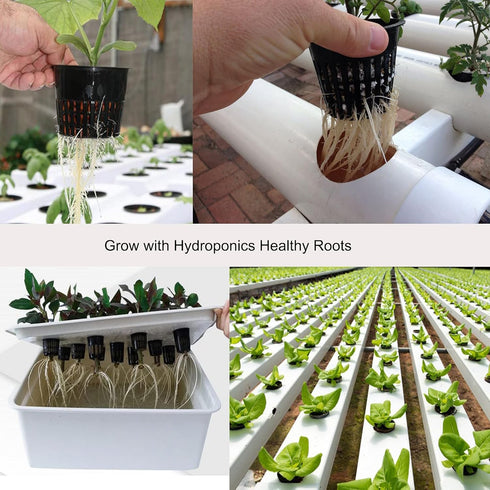 ORIMERC 25 Pack 3 inch Net Cup Pot with 25 feet Hydroponic Self Watering Wick & 25 Pcs Plant Label Aquaponics Mason Jar Insert Orchid Rimmed Nette...