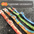 LaRoo Waterproof Dog Collar Heavy Duty PVC Pet Collars for Training, Cool Design & Pull Resistance Neckband for Pool Party Beach Outdoor Playing...