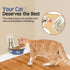 Cat Feeder, Wall Mounted, Raised Stainless Steel Bowls with Stand, Nonslip No Spill, 2 Packs (Blue)...