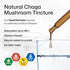 BIO KRAUTER Chaga Mushroom Extract - Chaga Tincture for Immune Support - Vegan, Alcohol & Sugar Free Drops 4 Fl.Oz....