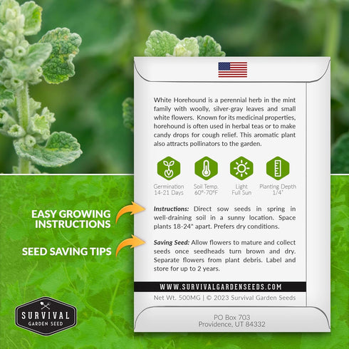 Horehound Seed for Planting - 1 Packet with Instructions to Plant and Grow Beneficial Marrubium Medicinal Herbs in Your Home Vegetable Garden - No...